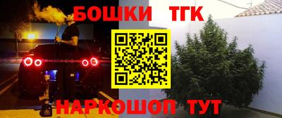 тгк Кандалакша